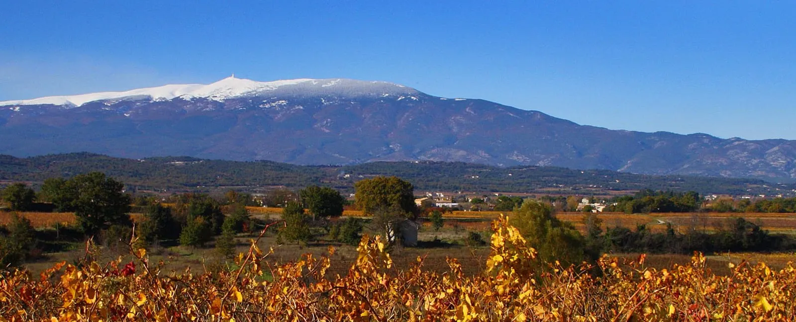 Vive la galette dans le Vaucluse