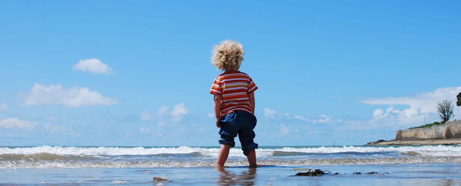 Bébé Brave - Venu au monde pour hériter de l'Europe !